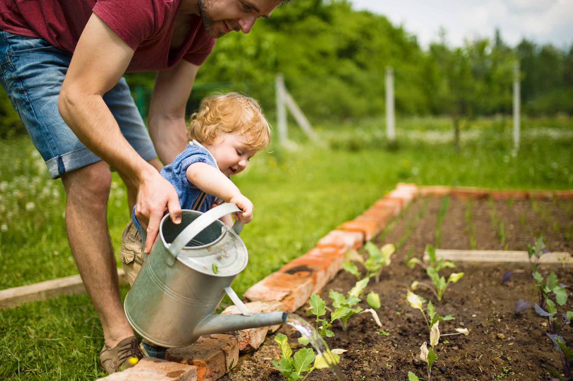 It begins in the garden