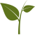 Leaf-logo-sml