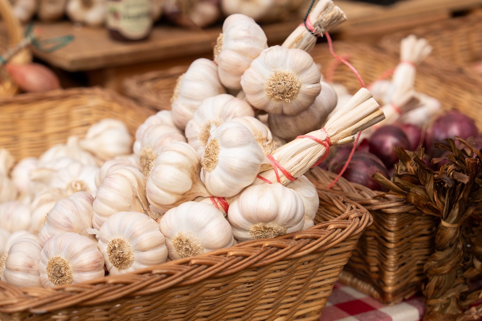 Fresh organic garlic bulbs in a wicker basket on sackcloth